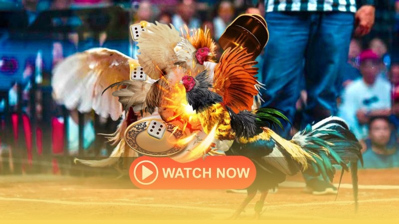 Vảy Gà Ngũ Quỷ