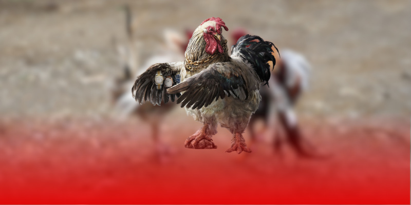 Khuyến mãi dành cho hình thức nạp tiền USDT lần thứ 2