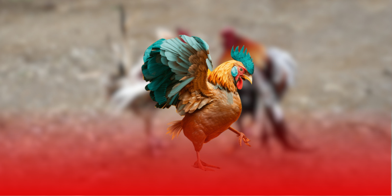 Tổng quan khuyến mãi SV388 2025