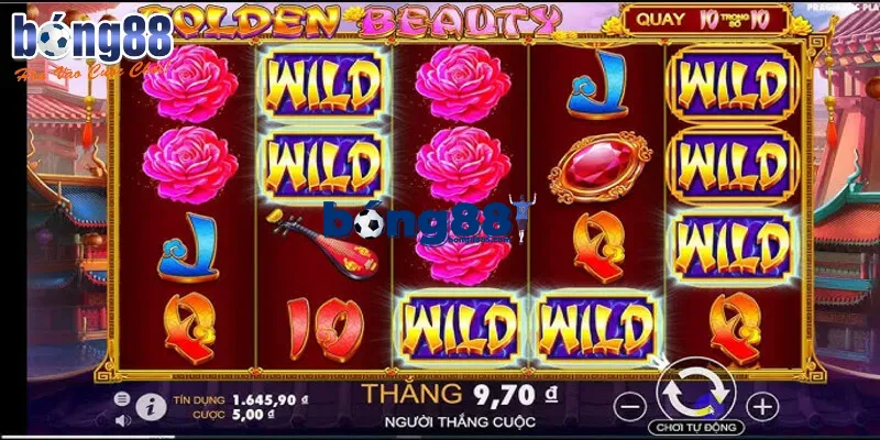 Các sự kiện và chương trình khuyến mãi của Nổ hũ bong88