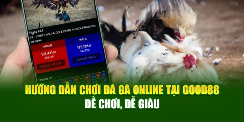 Tổng quan về cách chơi đá gà trực tuyến