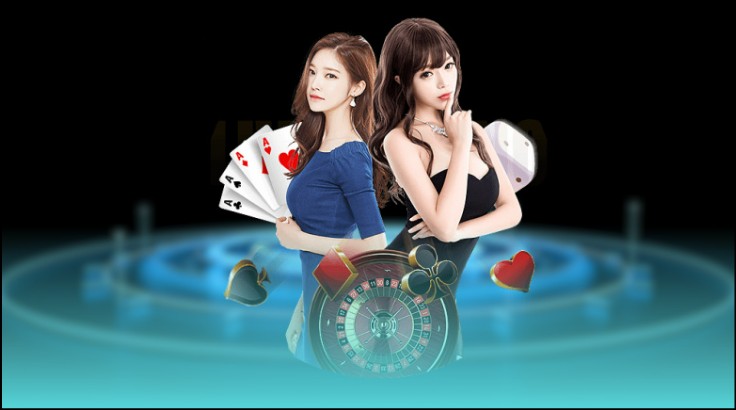 Đá gà trực tuyến sôi động Đá gà trực tuyến sôi động