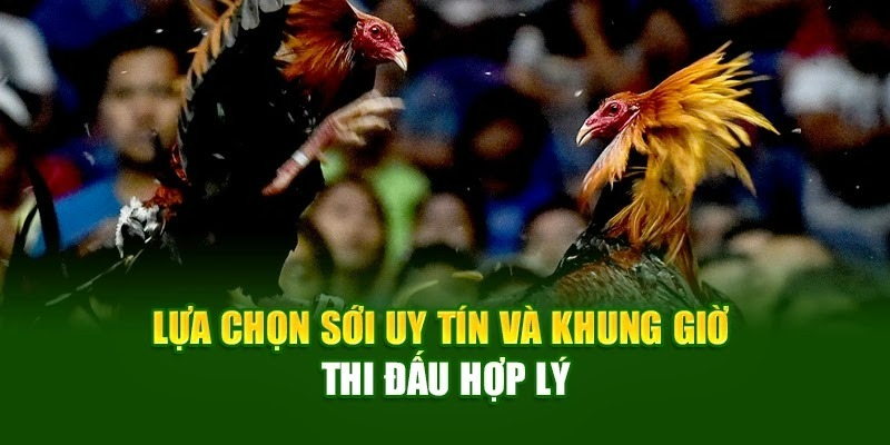Lựa chọn sới uy tín và khung giờ thi đấu hợp lý