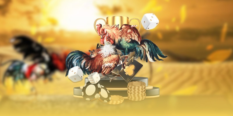 Giới thiệu tổng quan về đá gà SV388