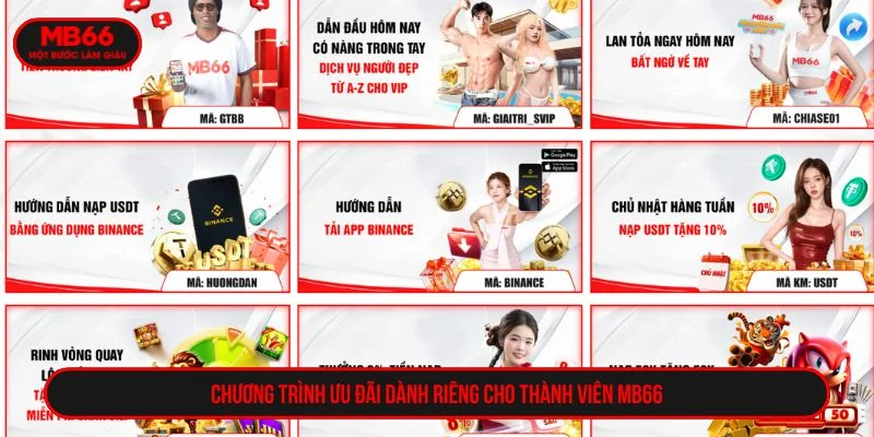 Bí quyết soi kèo đá gà hiệu quả cùng MB66 Bí quyết soi kèo đá gà hiệu quả cùng MB66