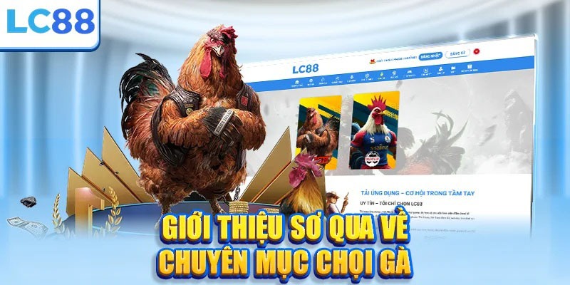Giới thiệu chuyên mục đá gà LC88 và những điểm nổi bật Giới thiệu chuyên mục đá gà LC88 và những điểm nổi bật