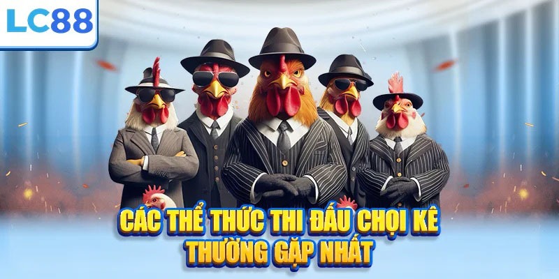 Các hình thức thi đấu hấp dẫn tại sảnh đá gà Các hình thức thi đấu hấp dẫn tại sảnh đá gà