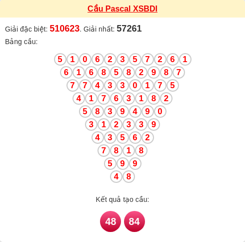 Cầu tam giác Pascale Bình Định