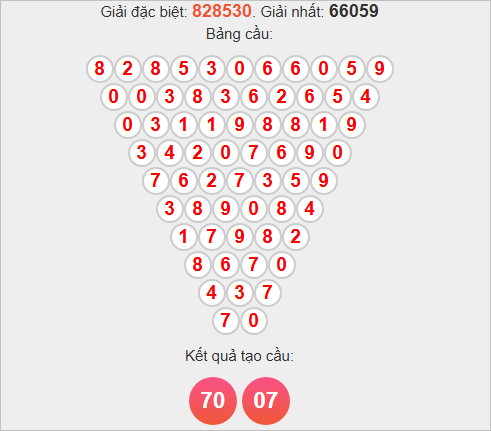 Cầu tam giác Pascale Gia Lai